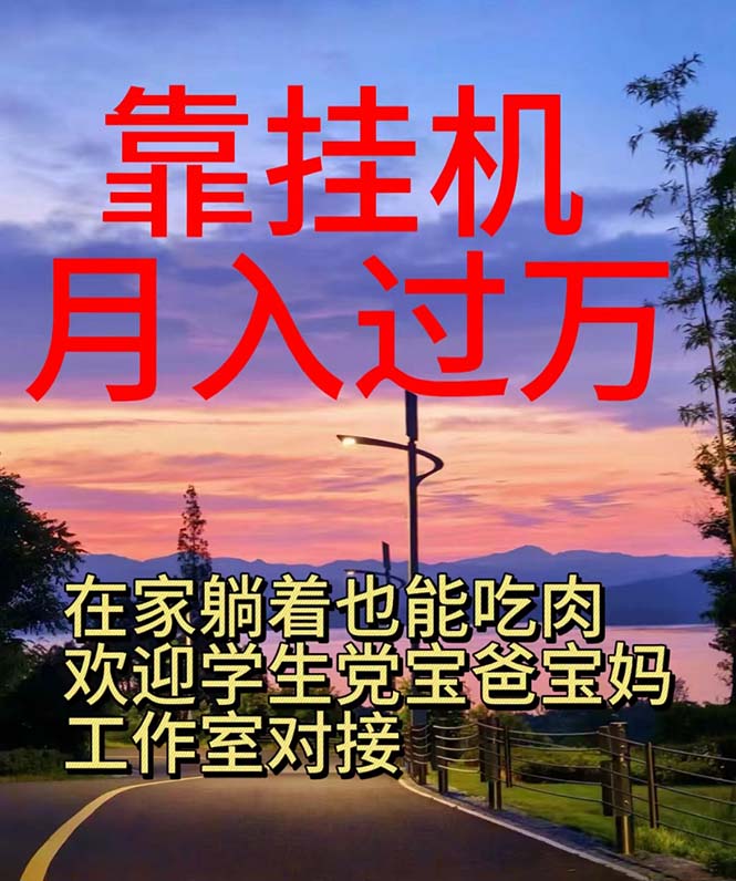 （10838期）靠自动运行，日入1000+，躺着也能吃肉，适合宝爸宝妈学生党工作室，电脑手…