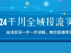 2024千川全域投流精品实操：由谈到深一步一步讲解，教你直播带货-15节