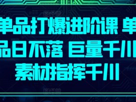 单品打爆进阶课 单品日不落 巨量千川 素材指挥千川