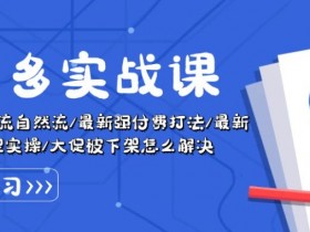 拼多多实战课：万人团玩法/截流自然流/最新强付费打法/最新原价卡大促..