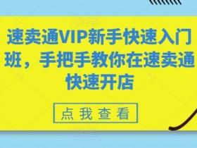 速卖通VIP新手快速入门班，手把手教你在速卖通快速开店