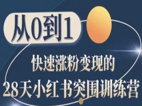 28天小红书突围训练营，从0到1快速涨粉变现