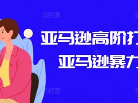 亚马逊高阶打法课，亚马逊暴力打法