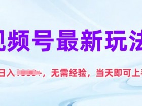 视频号最新玩法，日入1k+，无需经验，当天即可上手【揭秘】