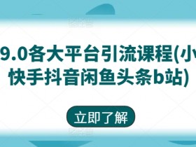 最新9.0各大平台引流课程(小红书快手抖音闲鱼头条b站)