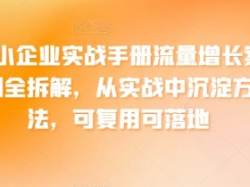 中小企业实战手册流量增长案例全拆解，从实战中沉淀方法，可复用可落地