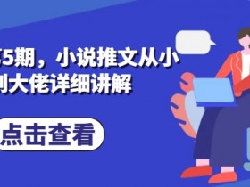 私教课第5期，小说推文从小白到大佬详细讲解
