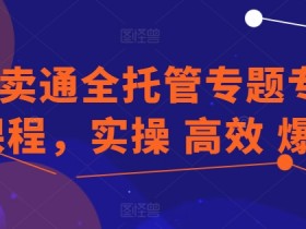 速卖通全托管专题专项课程，实操 高效 爆单