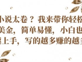 国内小说太卷 ?带你轻松赚取老外美金，简单易懂，小白也能快速上手，写的越多赚的越多【揭秘】