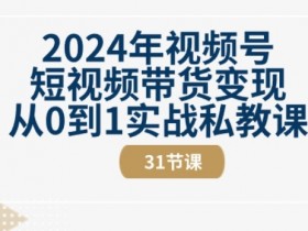 2024年视频号短视频带货变现从0到1实战私教课(31节视频课)