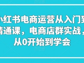 小红书电商运营从入门到精通课，电商店群实战，从0开始到学会