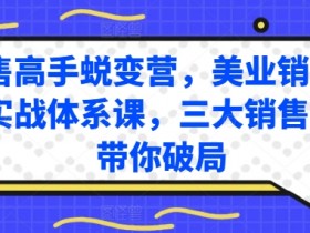 销售高手蜕变营，美业销售高手实战体系课，三大销售体系带你破局