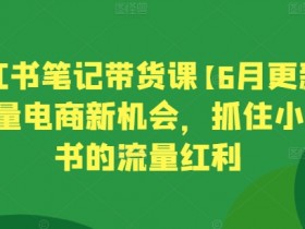 小红书笔记带货课【6月更新】流量电商新机会，抓住小红书的流量红利