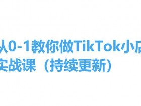 从0-1教你做TikTok小店实操课(持续更新)，手把手教你，简单易学