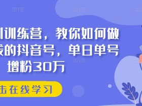 抖音实训训练营，教你如何做一个赚钱的抖音号，单日单号增粉30万