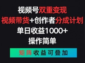 视频号双重变现，视频带货+创作者分成计划 , 操作简单，矩阵收益叠加【揭秘】