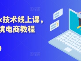 波兰olx技术线上课，kim跨境电商教程