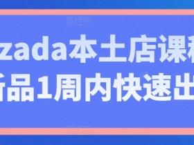 Lazada本土店课程，新品1周内快速出单