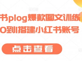 小红书plog爆款图文训练，从0到1搭建小红书账号