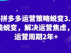 2024拼多多运营策略蜕变3.0，0-1完美蜕变，解决运营焦虑，缩短运营周期2年+
