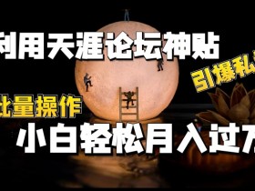 利用天涯论坛神贴，引爆私域，批量操作，小白轻松月入过w【揭秘】