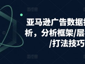 亚马逊广告数据拆解分析，分析框架/层级优化/打法技巧