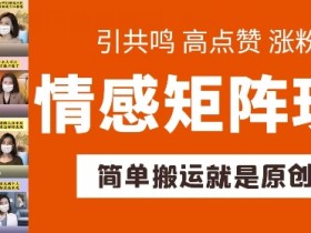 简单搬运，情感矩阵玩法，涨粉速度快，可带货，可起号【揭秘】