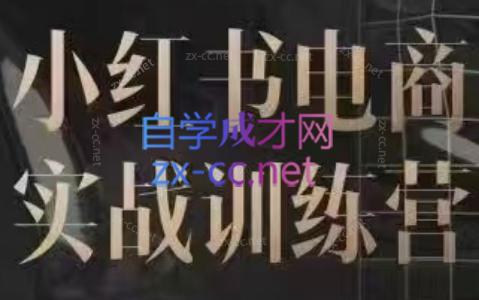 余文·小红书电商实战训练营（更新24年6月）