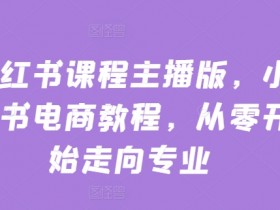 小红书课程主播版，小红书电商教程，从零开始走向专业