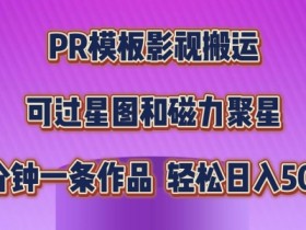 PR模板影视搬运，简单操作即可过原创，可过星图和磁力聚星，轻松日入几张【揭秘】