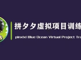 黄岛主·拼夕夕虚拟变现3.0，蓝海平台的虚拟项目，单天50-500+纯利润