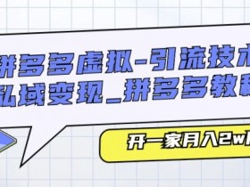 拼多多虚拟-引流技术与私域变现_拼多多教程：开一家月入2w店铺