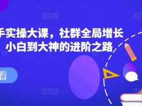 社群操盘手实操大课，社群全局增长成交实操，小白到大神的进阶之路