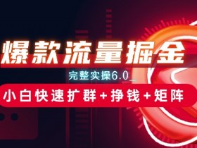 爆款流量掘金_完整实操6.0_小白快速扩群+挣钱+矩阵思路【揭秘】