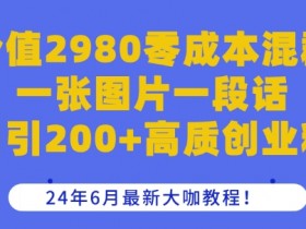 价值2980零成本混群一张图片一段话日引200+高质创业粉，24年6月最新大咖教程【揭秘】