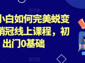 外贸小白如何完美蜕变行业销冠线上课程，初出门0基础