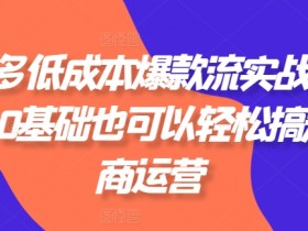 拼多多低成本爆款流实战私教课，0基础也可以轻松搞定电商运营