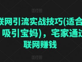 互联网引流实战技巧(适合微商，吸引宝妈)，宅家通过互联网赚钱