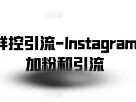 社交群控引流-Instagram批量加粉和引流