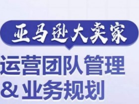 亚马逊大卖家-运营团队管理&业务规划，为你揭秘如何打造超强实力的运营团队