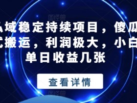 私域稳定持续项目，傻瓜式搬运，利润极大，小白单日收益几张【揭秘】