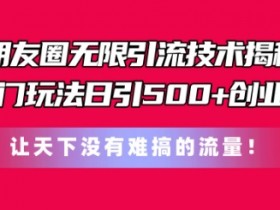 朋友圈无限引流技术，一个冷门玩法日引500+创业粉，让天下没有难搞的流量【揭秘】