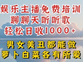 娱乐主播免费培训聊聊天听听歌轻松日收1K+，男女美丑都能做萝卜白菜各有所爱【揭秘】