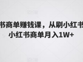 小红书商单赚钱课，从刷小红书到玩小红书商单月入1W+