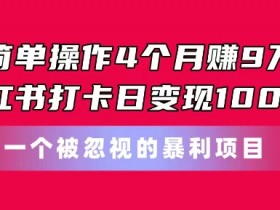 简单操作4个月赚9w，小红书打卡日变现1k，一个被忽视的暴力项目【揭秘】
