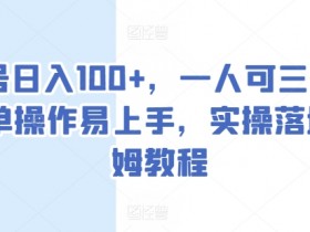 单号日入100+，一人可三号，简单操作易上手，实操落地保姆教程【揭秘】