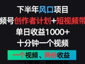 下半年风口项目，视频号创作者计划+视频带货，一个视频两份收益，十分钟一个视频【揭秘】