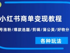 小红书商单变现教程：起号涨粉/爆款选题/剪辑/蒲公英/好物分享/各种玩法