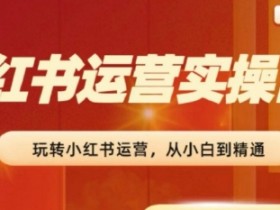 2024小红书运营实操营，​从入门到精通，完成从0~1~100