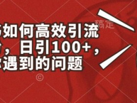 小红书如何高效引流创业粉，日引100+，解决你遇到的问题【揭秘】